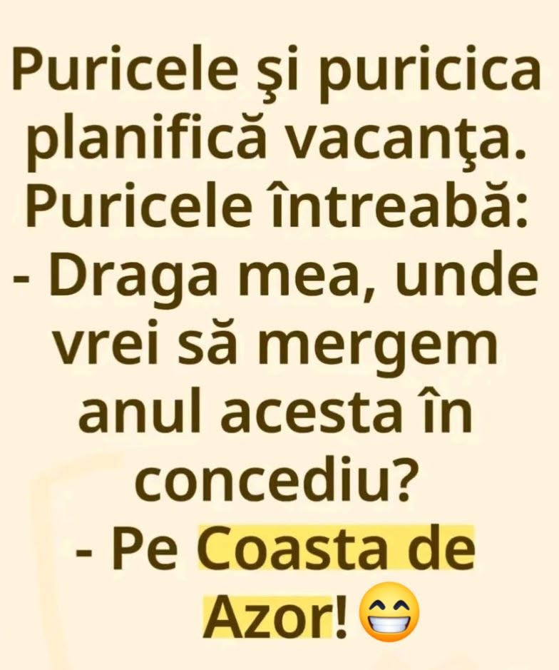 Puricele și puricica planifică vacanța: Pe Coasta de Azor!