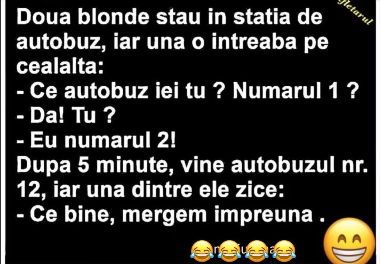 Două blonde în stația de autobuz: Ce autobuz iei tu? Numărul 1