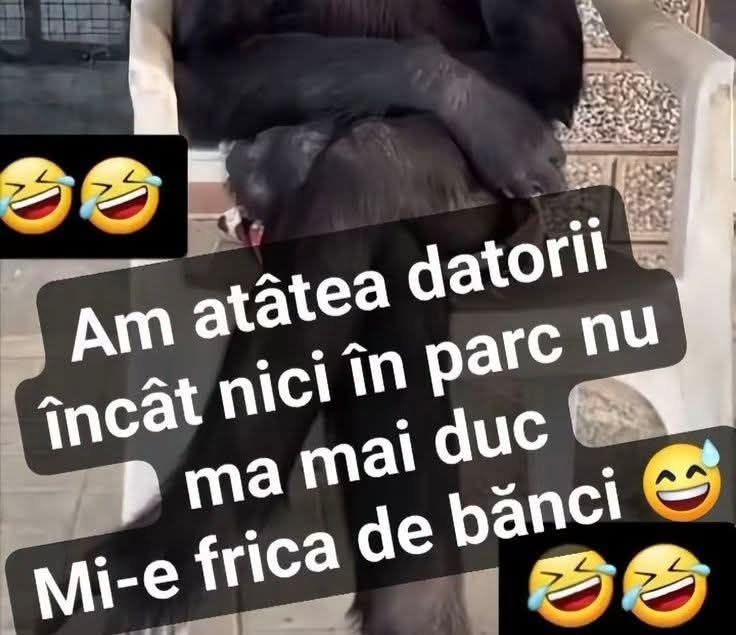 Am atâtea datorii încât nici în parc nu mă mai duc. Mi-e frică de bănci