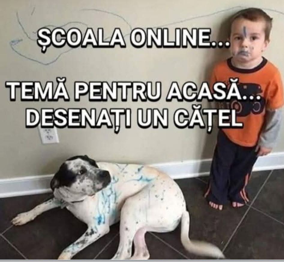 Școala online. Temă pentru acasă: desenați un cățel