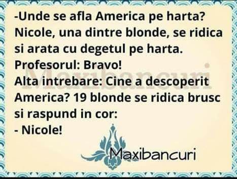 Cine a descoperit America? 19 blonde răspund în cor: Nicole!