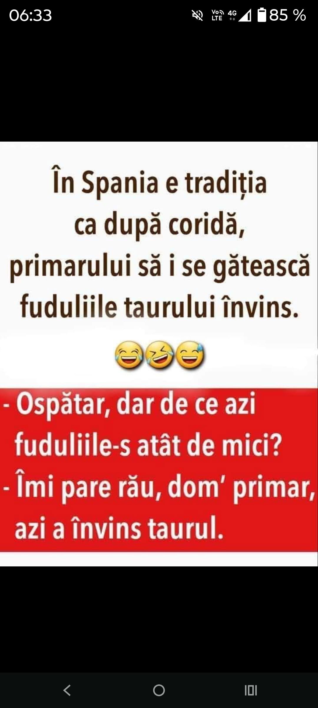 În Spania, după coridă, primarului i se gătesc fudulii taurului învins