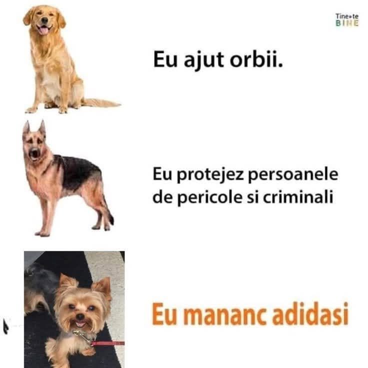 Eu ajut orbii. Eu protejez oamenii de pericole. Eu mănânc adidași