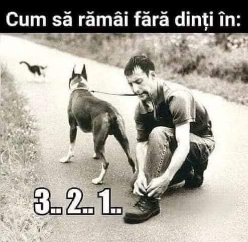Cum să rămâi fără dinți în 3, 2, 1
