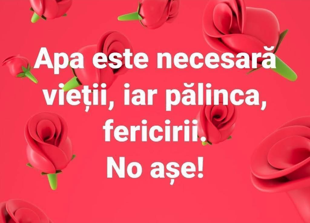 Apa este necesară vieții, iar pălinca fericirii. No așe!