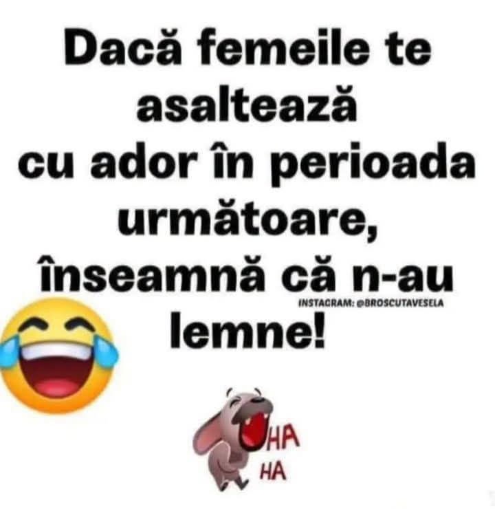 Dacă femeile te asaltează cu „ador” în perioada următoare, înseamnă că n-au lemne!