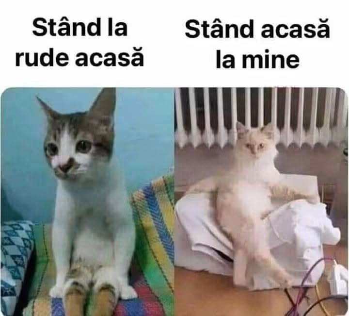 Stând la rude acasă vs. stând acasă la mine