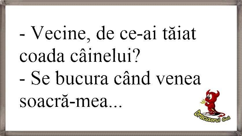 Vecine, de ce i-ai tăiat coada câinelui? Se bucura când venea soacră-mea