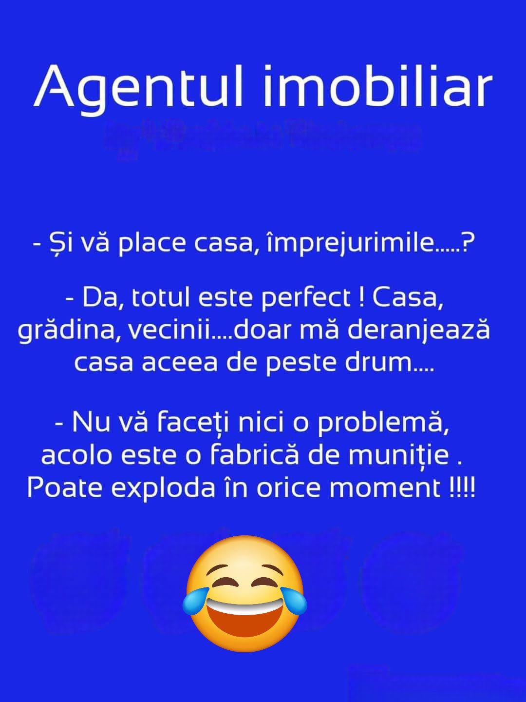 Agentul imobiliar: totul e perfect, doar că vecinii deranjează, e o fabrică de muniție