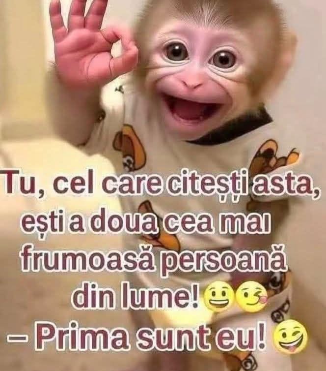 Tu, cel care citești asta, ești a doua cea mai frumoasă persoană din lume. Prima sunt eu!