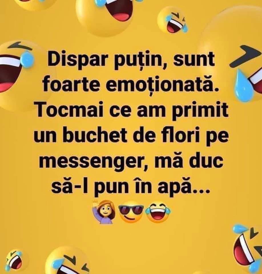 Dispar puțin, sunt emoționată: am primit un buchet de flori pe messenger, mă duc să-l pun în apă