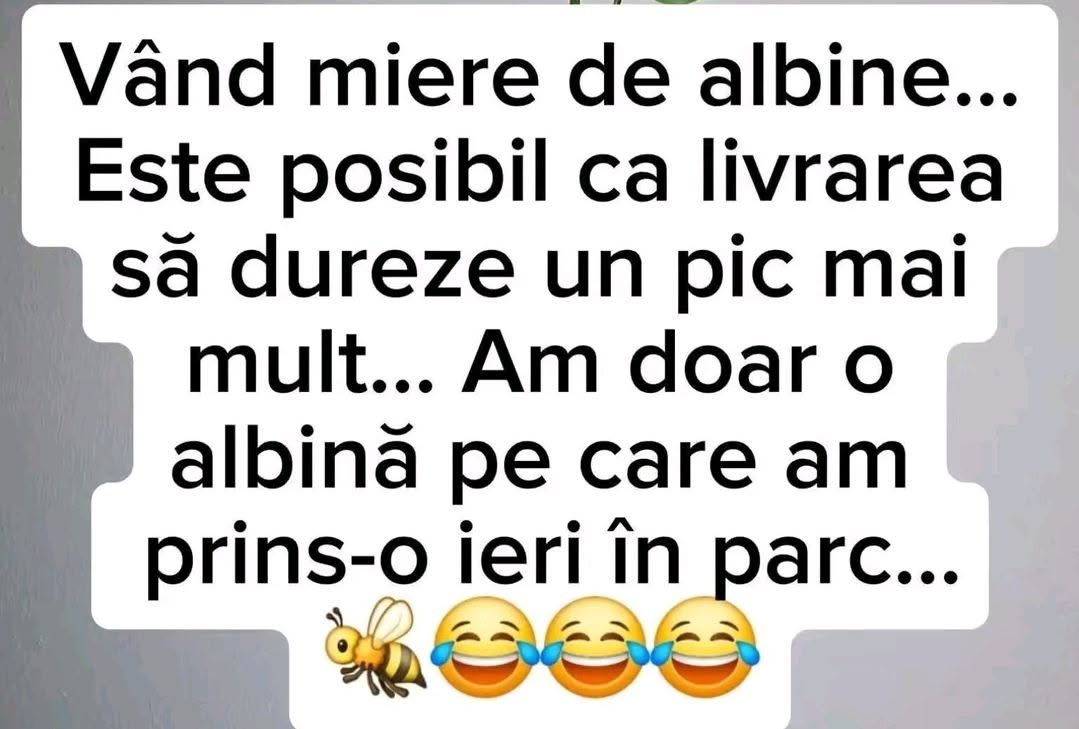 Vând miere de albine. Livrarea poate dura, am doar o albină prinsă ieri în parc