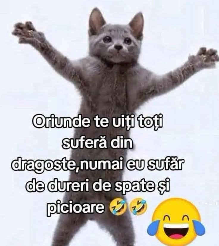 Oriunde te uiți, toți suferă din dragoste, numai eu sufăr de dureri de spate și picioare