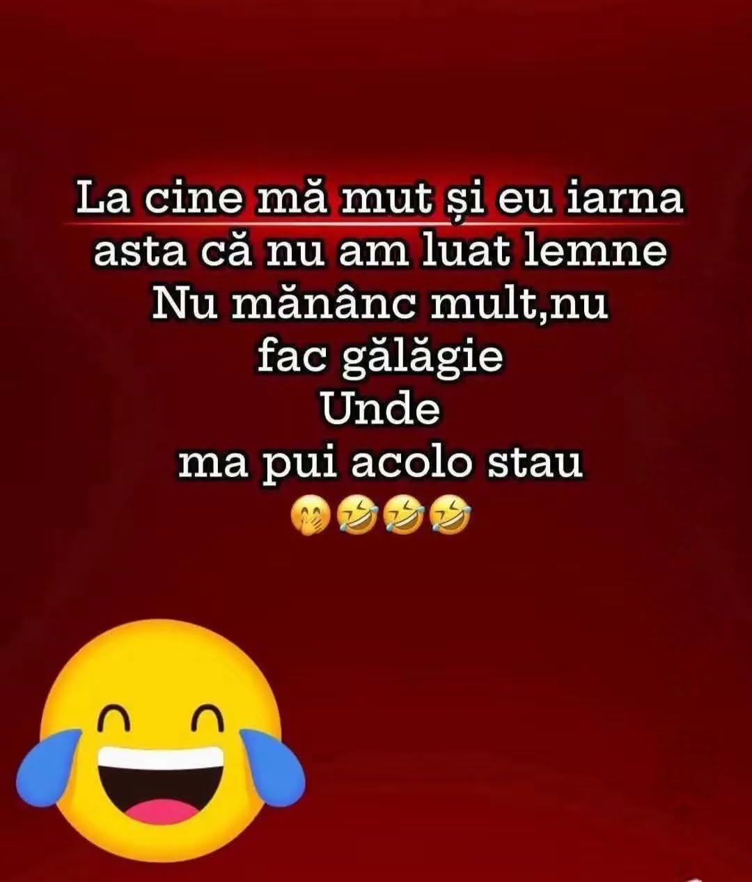La cine mă mut și eu iarna asta, că nu am luat lemne? Nu mănânc mult, nu fac gălăgie