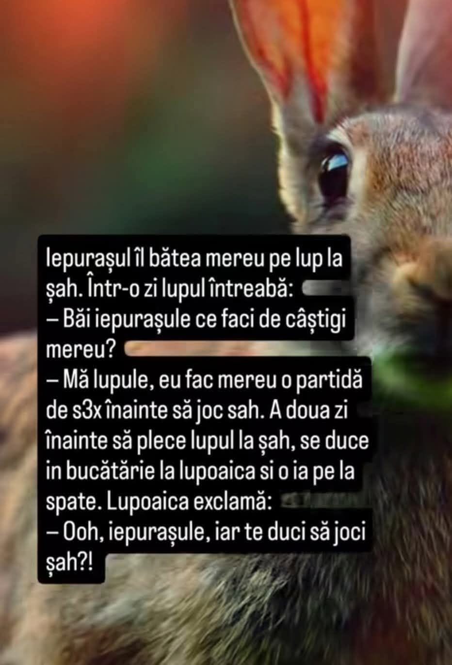 Iepurașul îl bătea mereu pe lup la șah