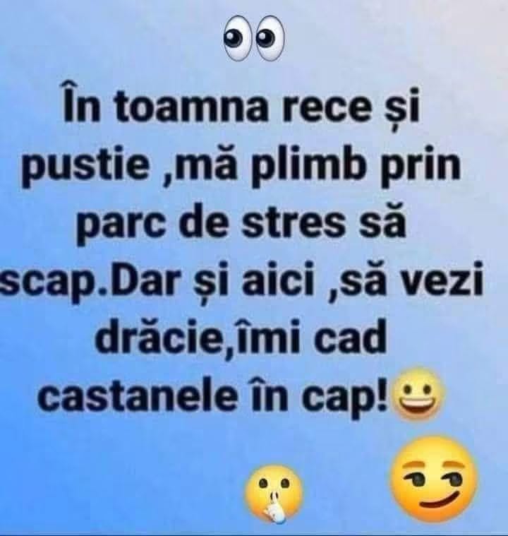În toamna rece mă plimb prin parc de stres. Dar și aici îmi cad castanele în cap!