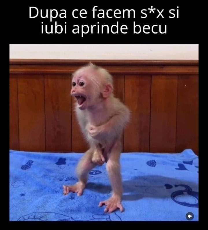 După ce facem s*x și iubi aprinde becul