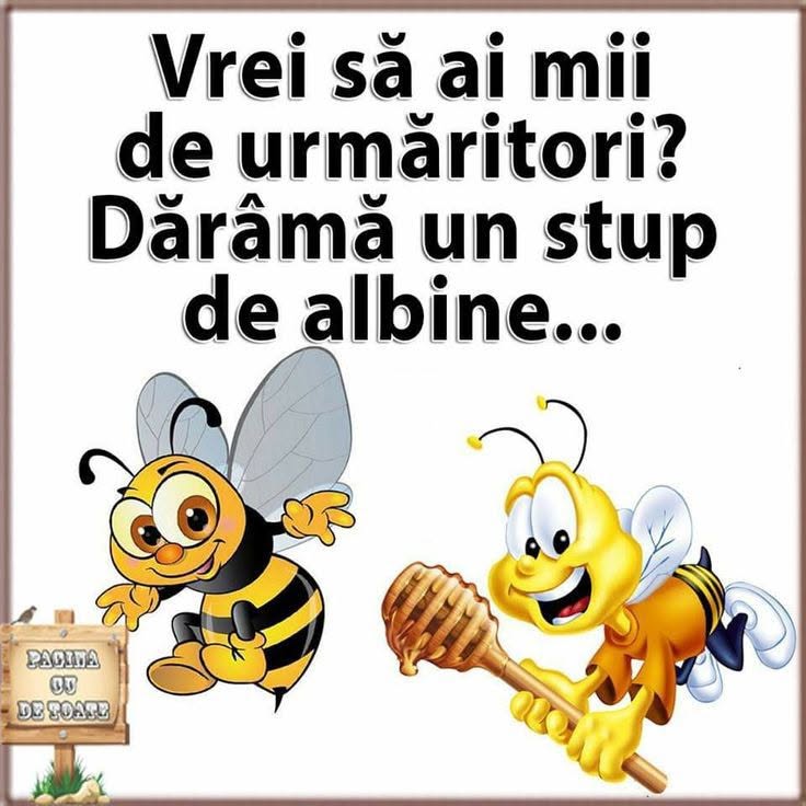 Vrei să ai mii de urmăritori? Dărâmă un stup de albine