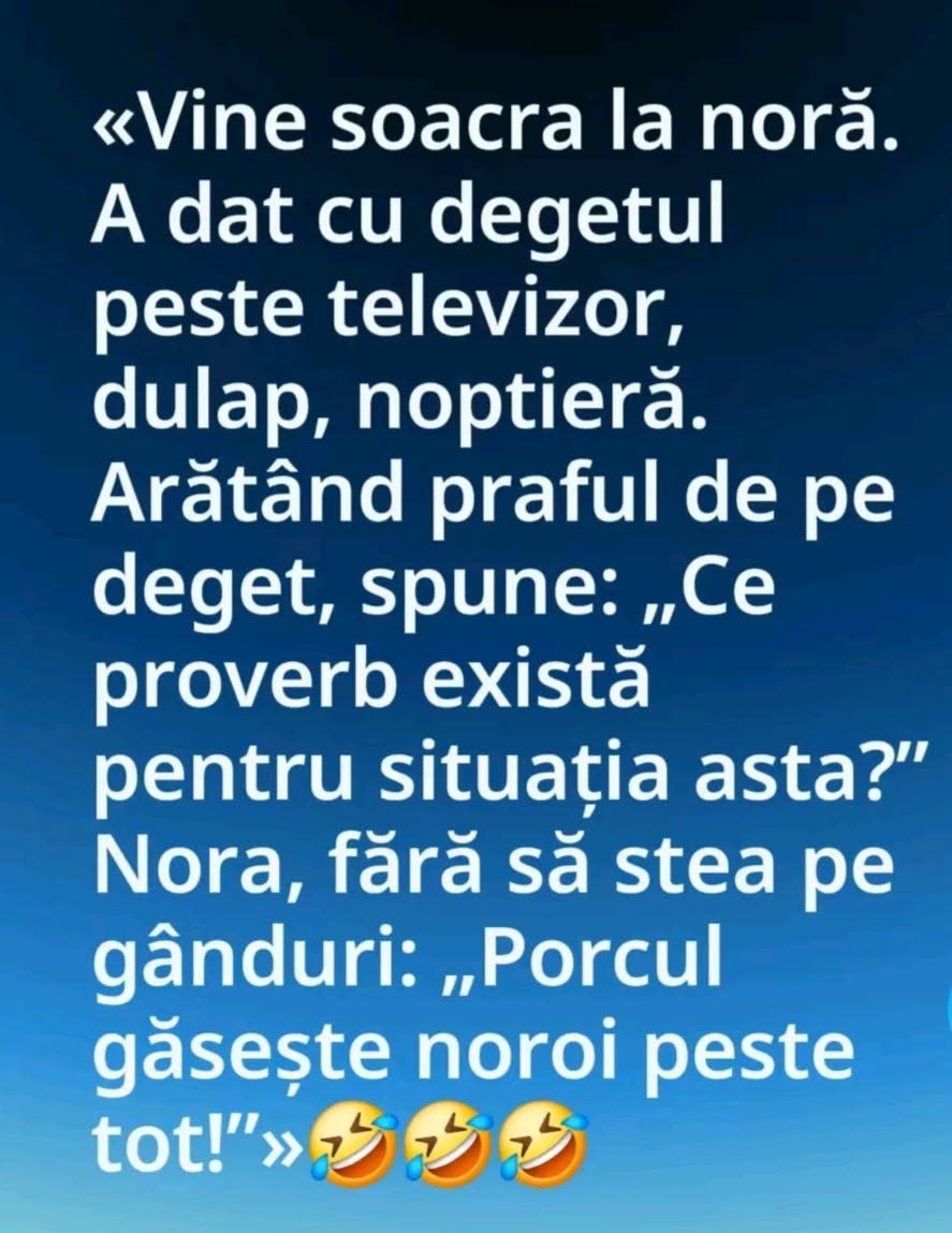 Soacra găsește praf la noră: ce proverb există? Porcul găsește noroi peste tot!