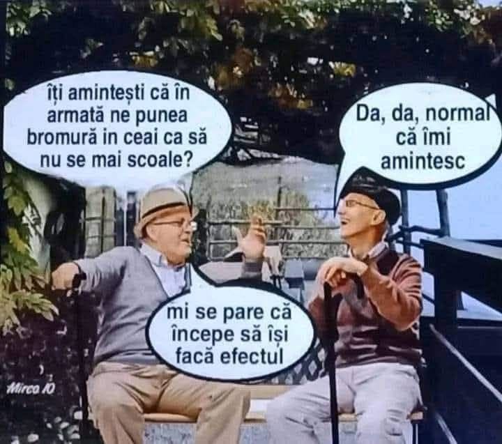 Îți amintești că în armată ne puneau bromură în ceai? Mi se pare că începe să-și facă efectul