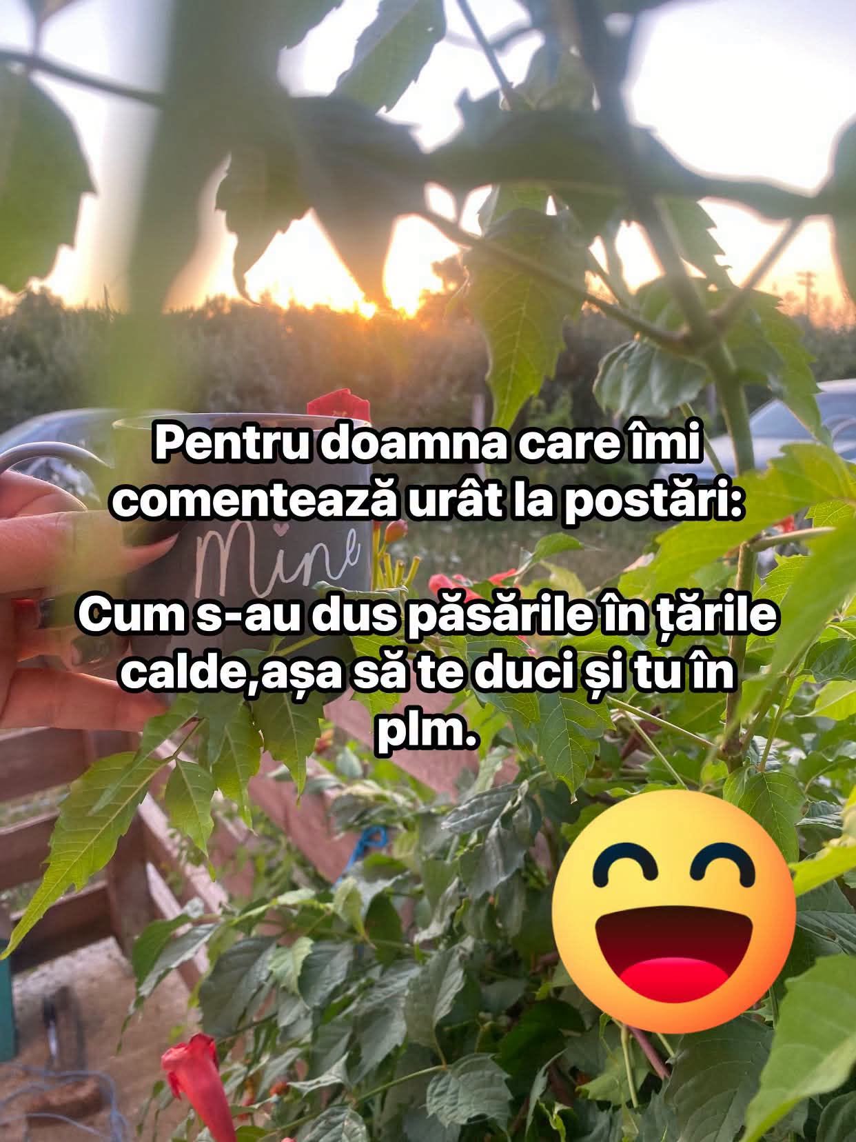 Pentru doamna care îmi comentează urât: cum s-au dus păsările în țările calde, așa să te duci și tu