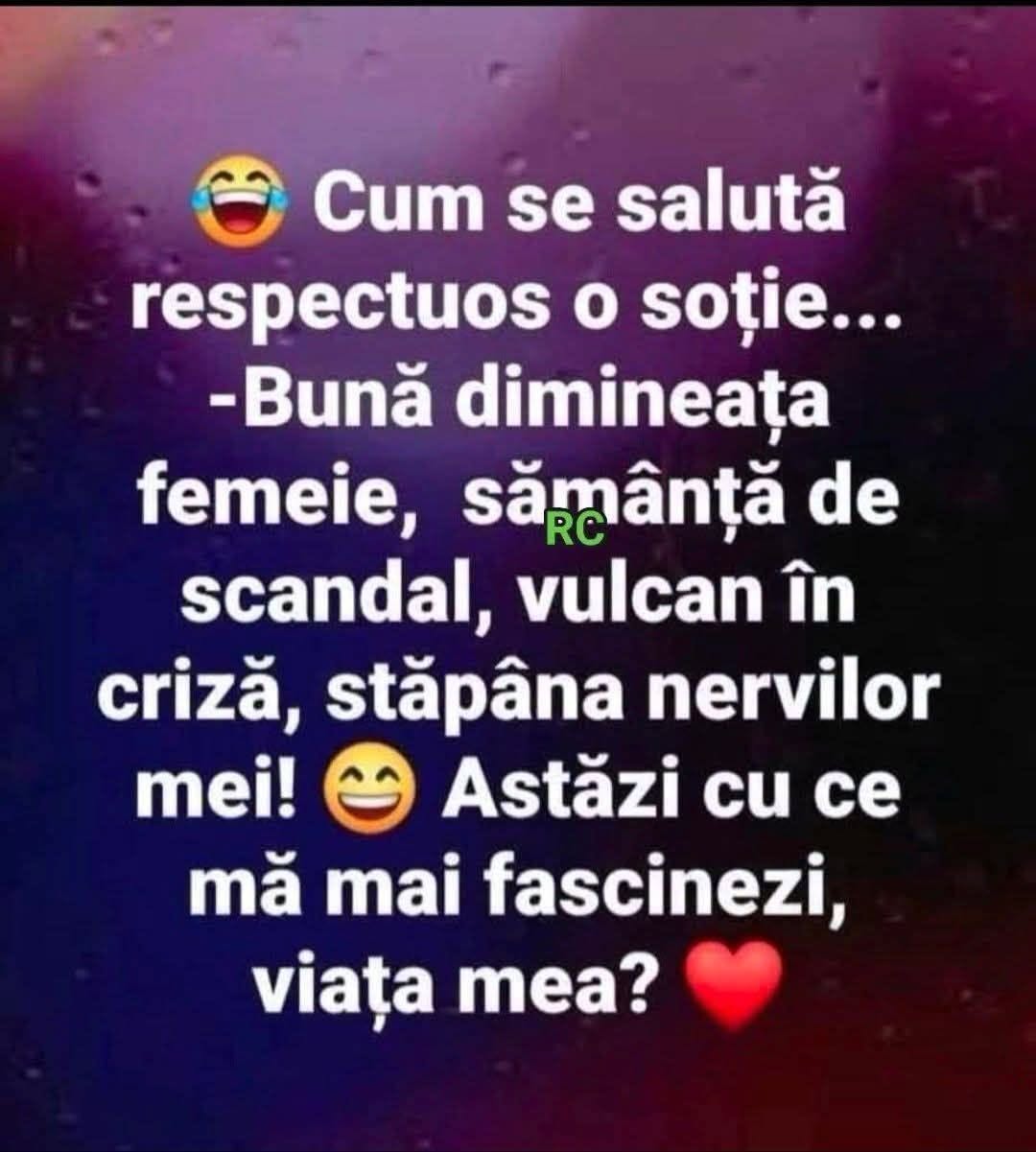 Cum se salută respectuos o soție: Bună dimineața, femeie, sămânță de scandal, stăpâna nervilor mei!