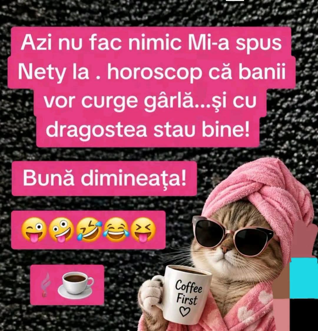 Azi nu fac nimic. Mi-a spus Nety la horoscop că banii vor curge gârlă