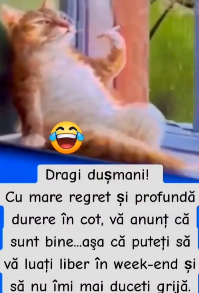 Dragi dușmani, cu mare regret vă anunț că sunt bine, așa că puteți să vă luați liber în weekend