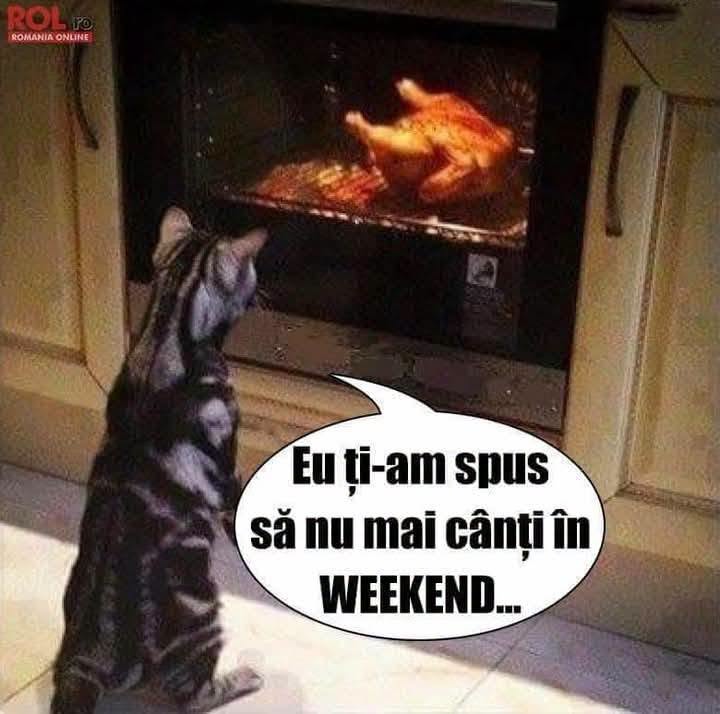 Eu ți-am spus să nu mai cânți în weekend...