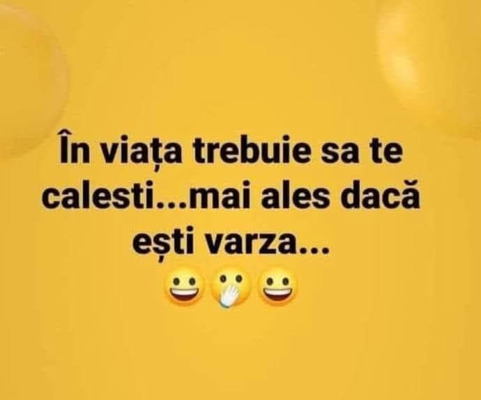 În viață trebuie să te călești... mai ales dacă ești varză