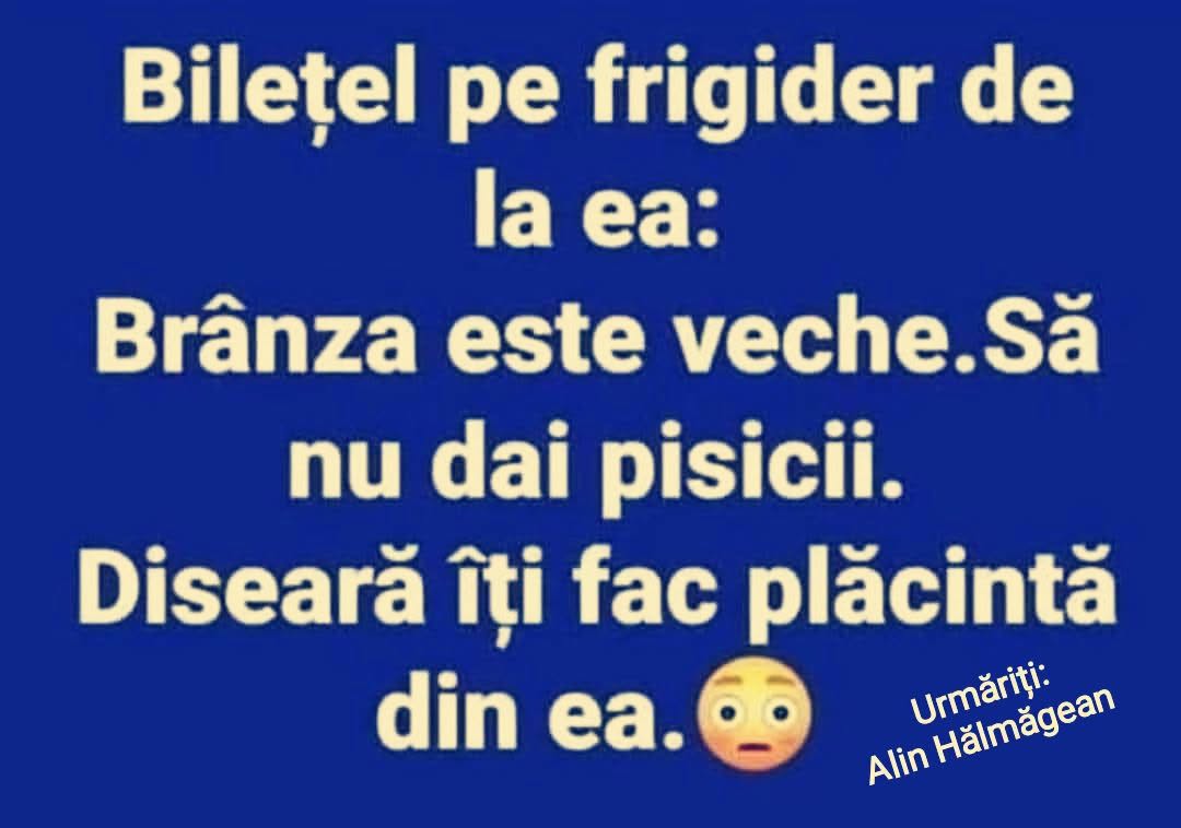 Bilețel pe frigider: Brânza e veche, să nu dai pisicii. Diseară îți fac plăcintă din ea