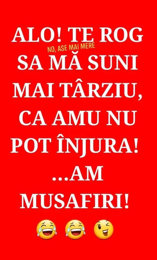 Alo! Te rog să mă suni mai târziu, că amu nu pot înjura... am musafiri!