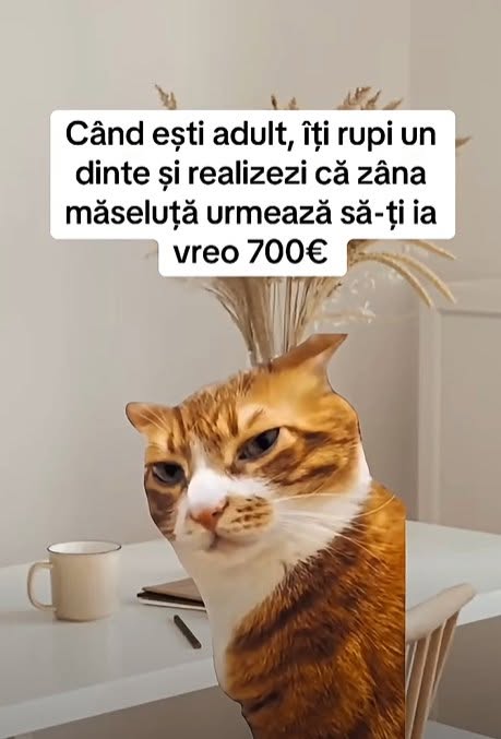 Când ești adult, îți rupi un dinte și realizezi că zâna măseluță urmează să-ți ia vreo 700€