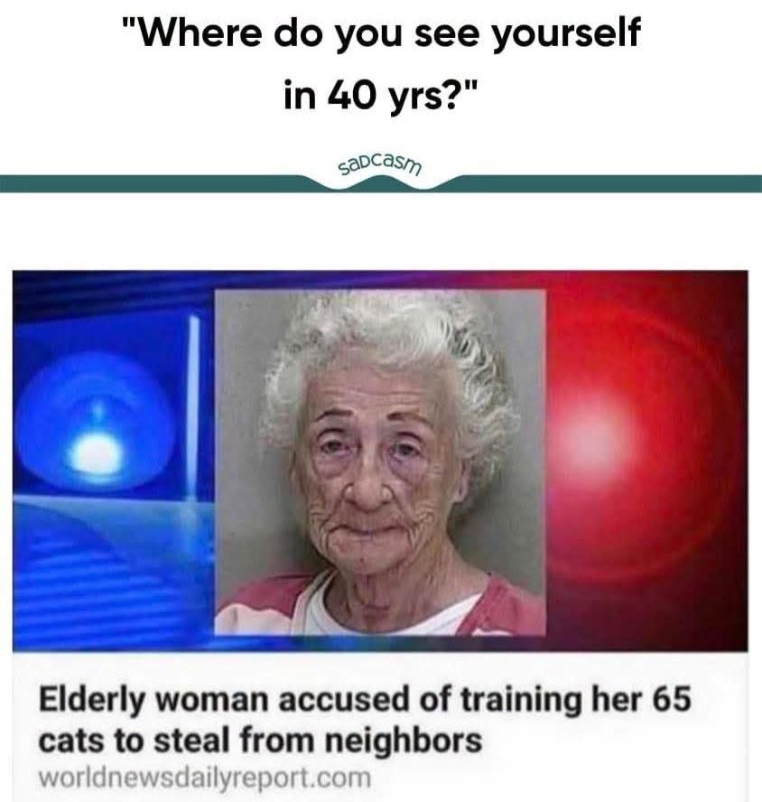 Where do you see yourself in 40 years? Elderly woman accused of training her 65 cats to steal from neighbors