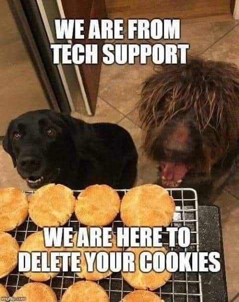 We are from tech support, we are here to delete your cookies