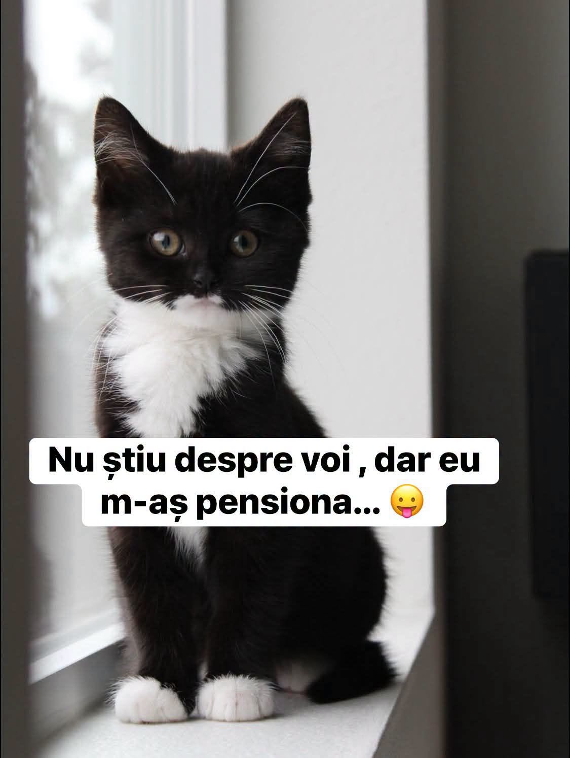 Nu știu despre voi, dar eu m-aș pensiona
