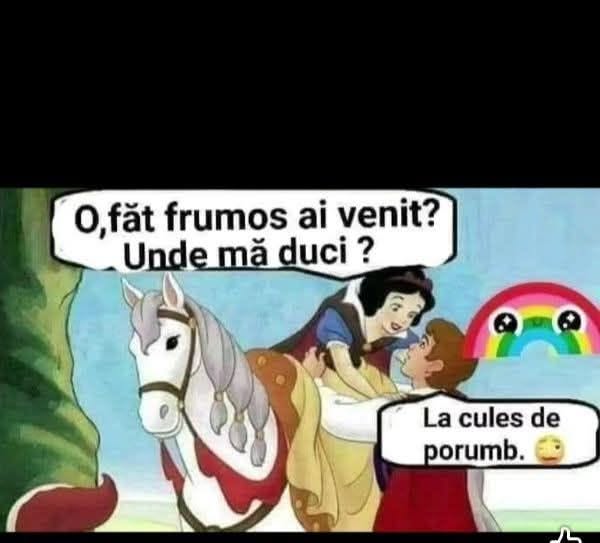 O, Făt-Frumos, ai venit? Unde mă duci? La cules de porumb!