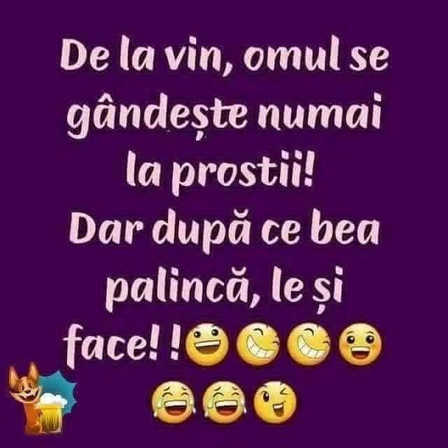 De la vin omul se gândește numai la prostii. Dar după ce bea pălincă, le și face!