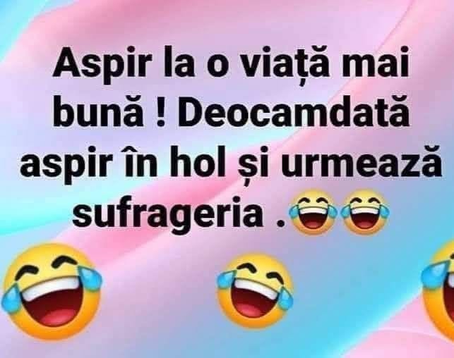 Aspir la o viață mai bună! Deocamdată aspir în hol și urmează sufrageria