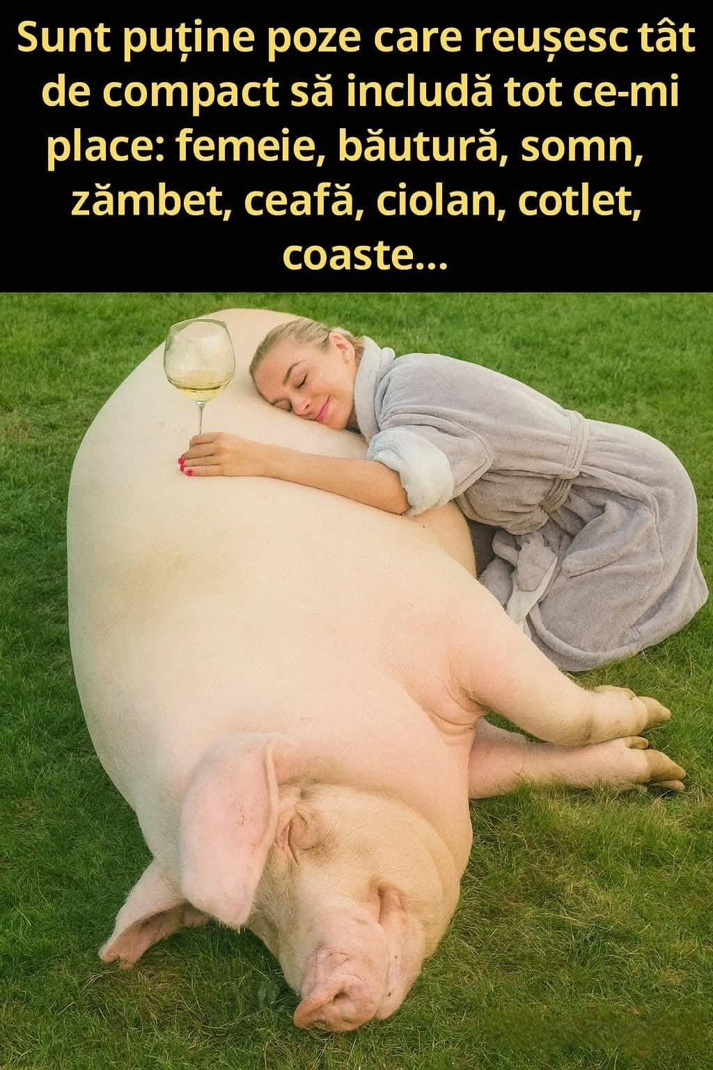 Sunt puține poze care reușesc să includă tot ce-mi place: femeie, băutură, somn, zâmbet, ceafă, ciolan, cotlet