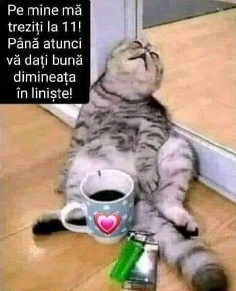 Pe mine mă treziți la 11! Până atunci vă dați bună dimineața în liniște