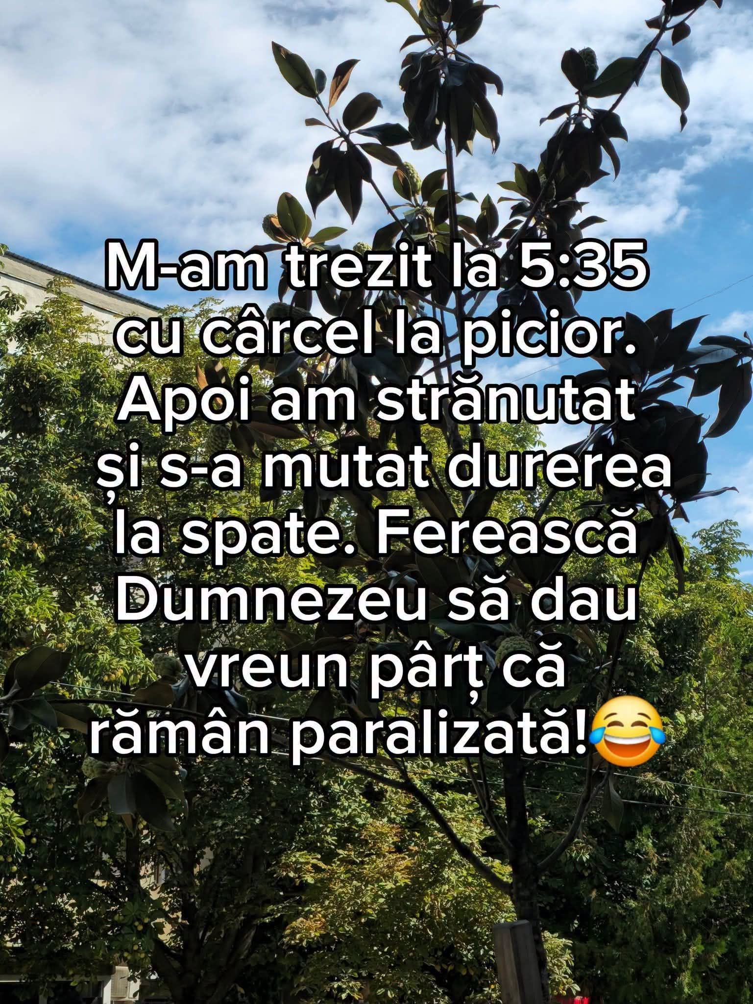 M-am trezit cu cârcel la picior, apoi am strănutat și s-a mutat durerea la spate