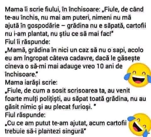 Mama îi scrie fiului la închisoare că n-are cine să sape grădina. Fiul: nu săpa, acolo am îngropat cadavrele! A doua zi poliția a săpat toată grădina