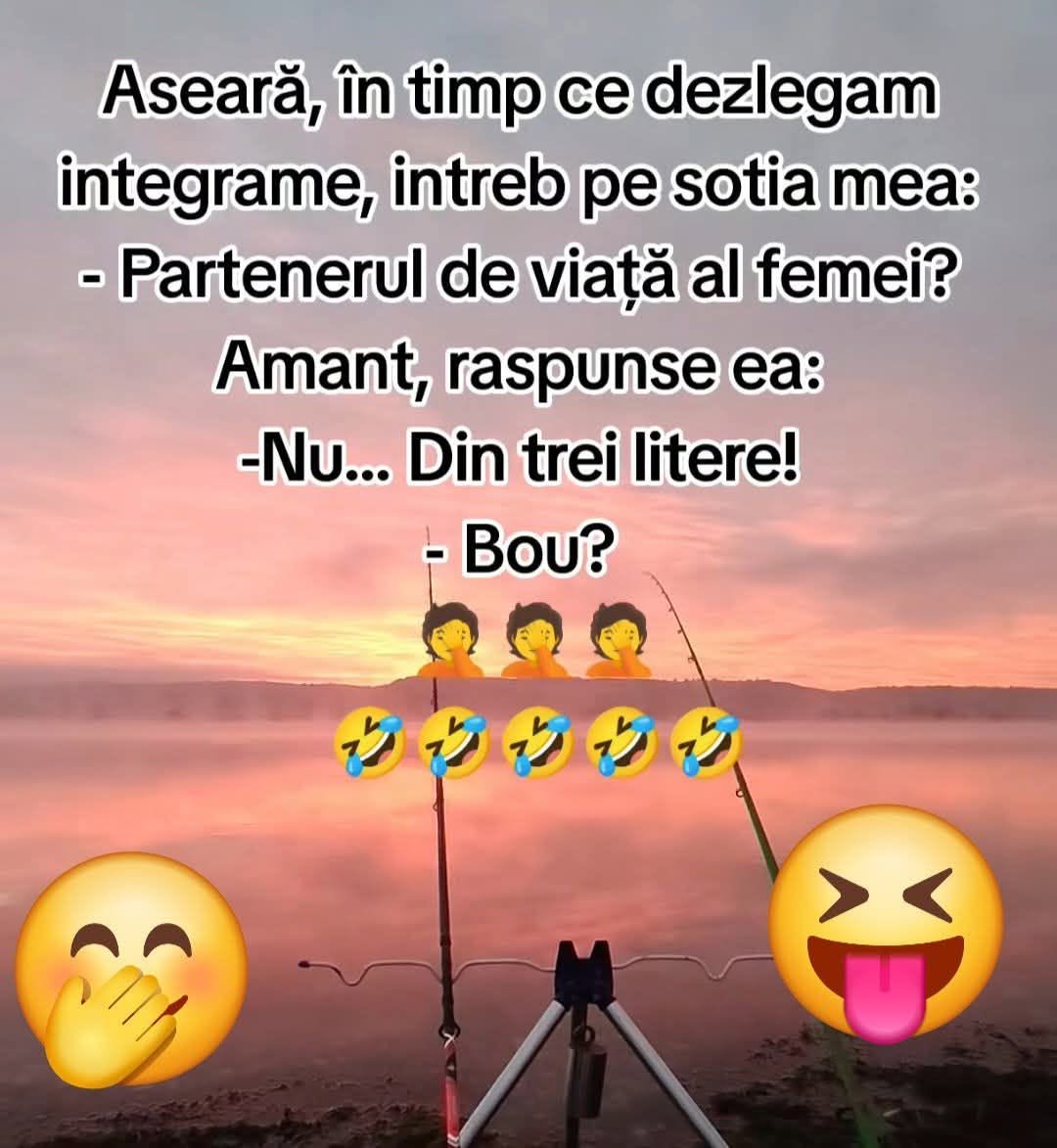 Partenerul de viață al femeii, din trei litere? Amant? Nu, din trei litere! Bou?