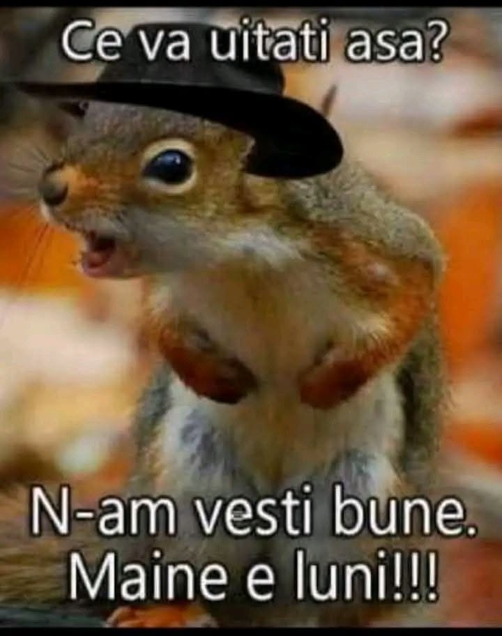 Ce vă uitați așa? N-am vești bune. Mâine e luni!