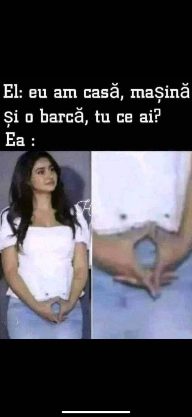 El: Eu am casă, mașină și o barcă. Tu ce ai? Ea:...