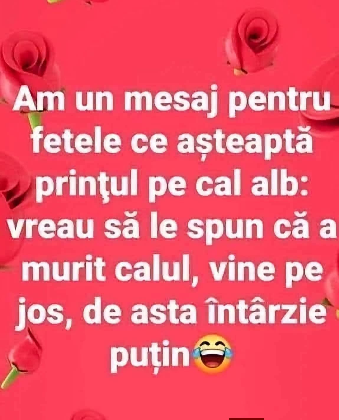 Mesaj pentru fetele ce așteaptă prințul pe cal alb: a murit calul, vine pe jos, de asta întârzie puțin