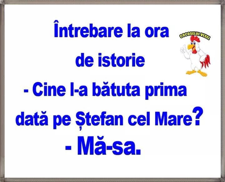 Întrebare la ora de istorie: Cine l-a bătut prima dată pe Ștefan cel Mare? Mă-sa