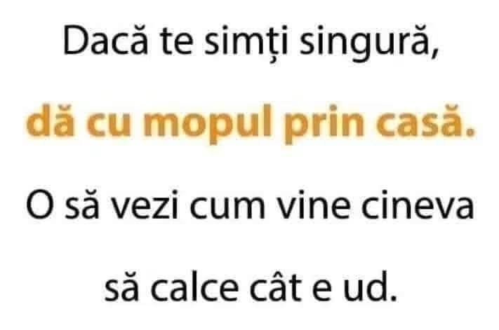 Dacă te simți singură, dă cu mopul prin casă. O să vezi cum vine cineva să calce cât e ud
