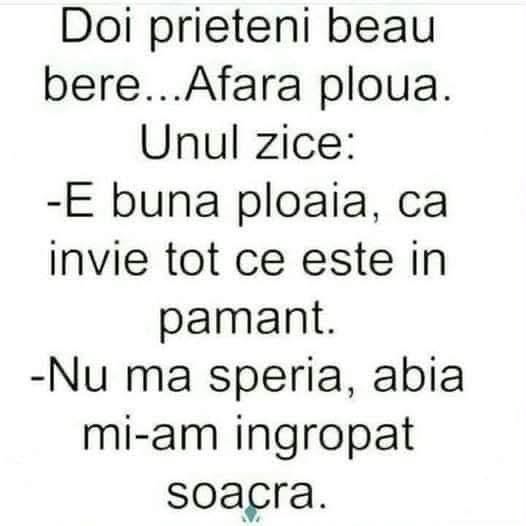 Doi prieteni beau bere afară, plouă: E bună ploaia, învie tot ce e în pământ. Nu mă speria, abia mi-am îngropat soacra